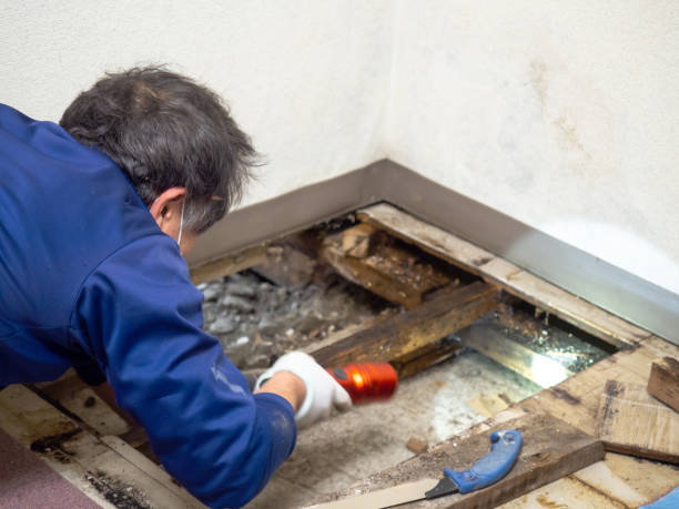Crawl Space Mold Removal in Fairmount, GA