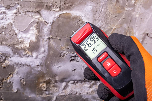 Best Residential Mold Removal  in Fairmount, GA