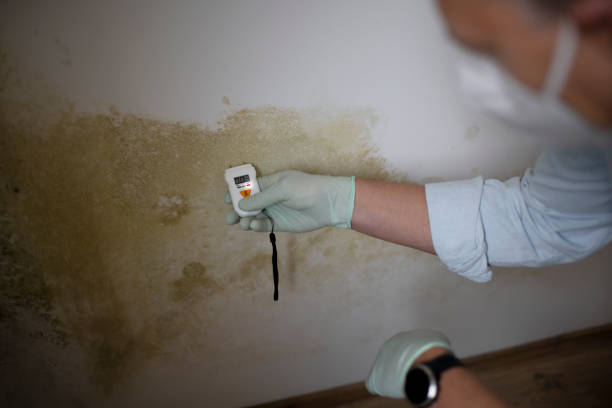 Fairmount, GA Mold Removal Company