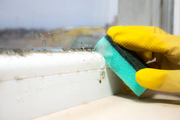 Best Office Mold Removal Services  in Fairmount, GA