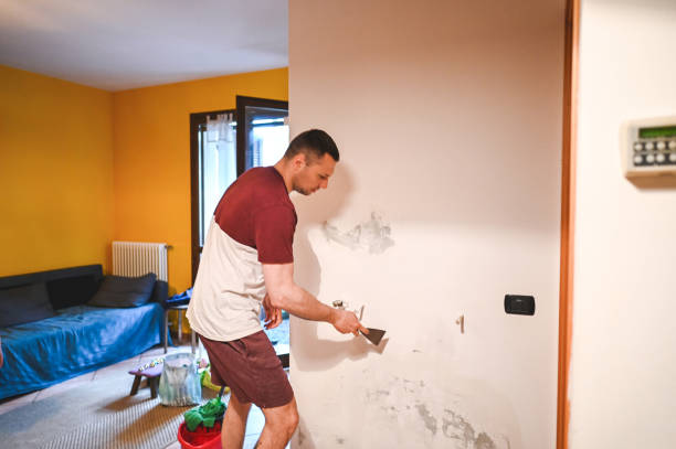Best Home Mold Removal  in Fairmount, GA